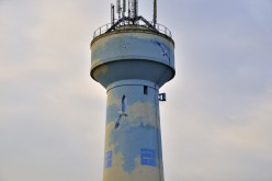  PYA5974