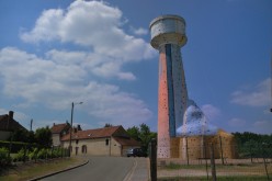 DSC 7239