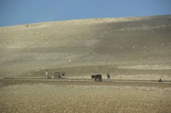 Marrakech 13C