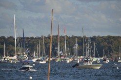 Route-du-Rhum-2014-PA06390