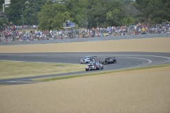 #24LM PA08437