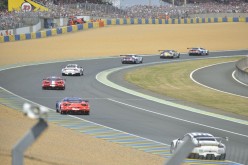 #24LM PA08290