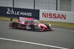 #24LM PA08552