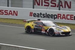 #24LM PA08591