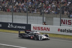 #24LM PA08597