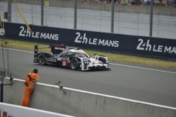 #24LM PA08550