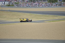 #24LM PA08406