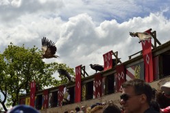  Puy-du-Fou-PA16440