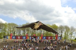  Puy-du-Fou-PA16480