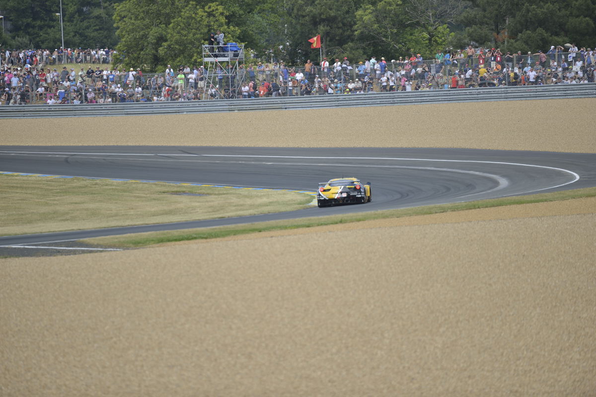 #24LM PA08416