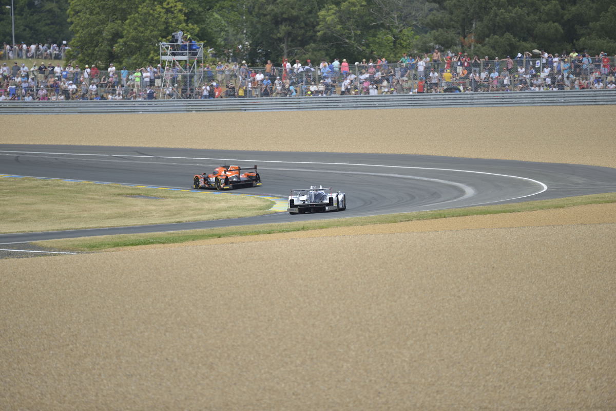 #24LM PA08419